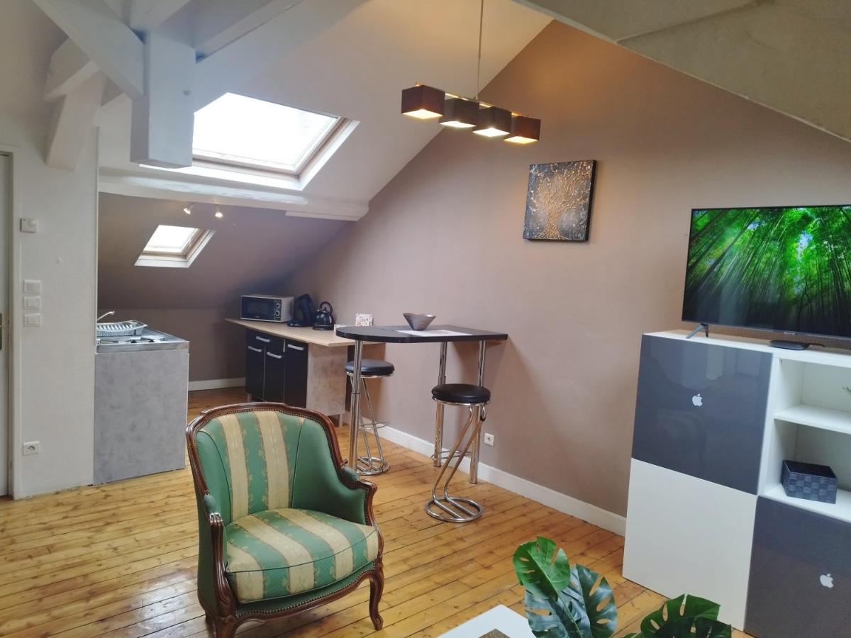 Charmant 2 Pieces Parking Prive Apartment *